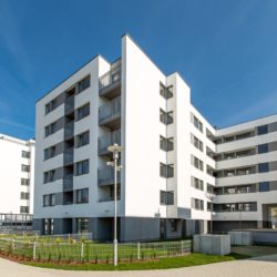 Młody Grunwald zarządzane przez Masters Zarządzanie Nieruchomości